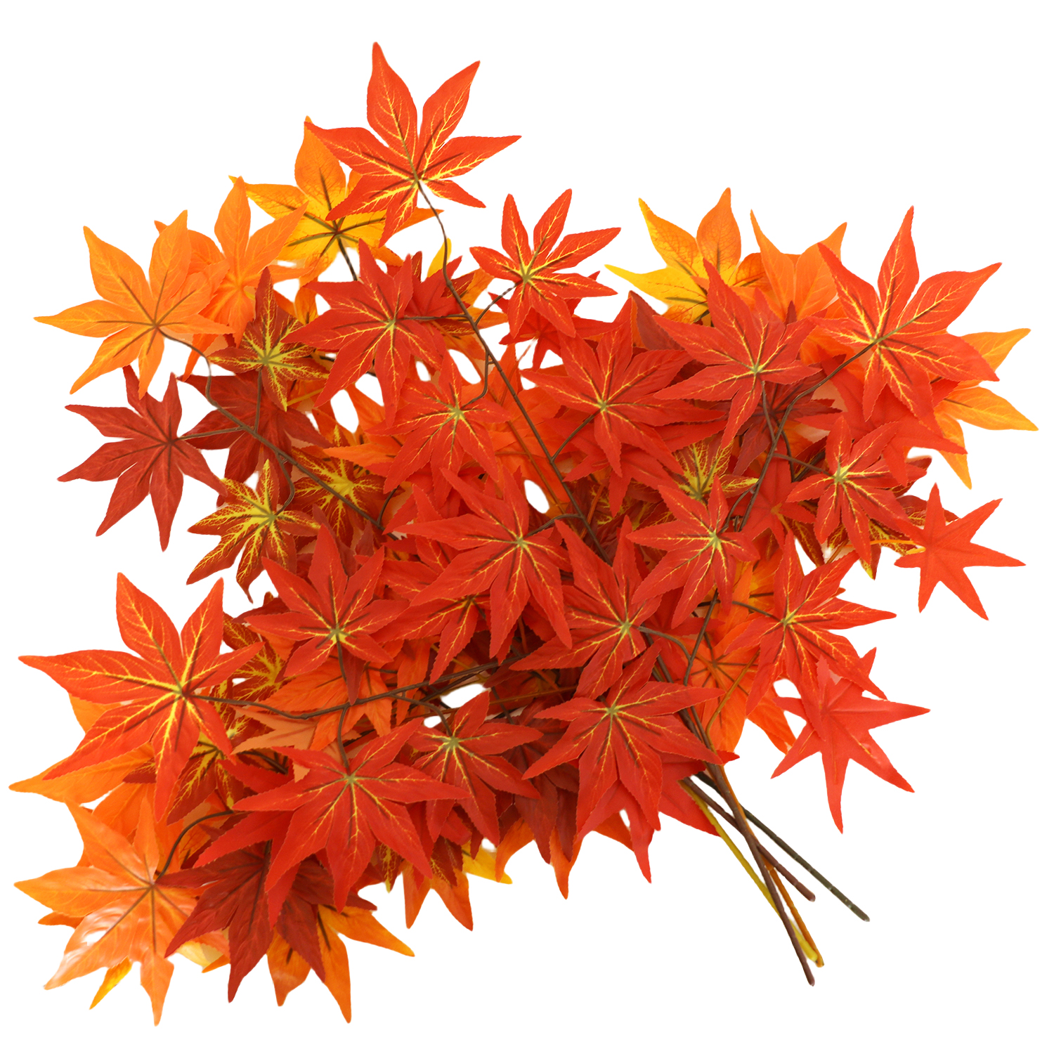 Fortschrittliche Technologielösung